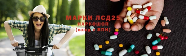 PSILOCYBIN Баксан