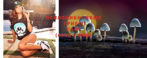 СК Белокуриха