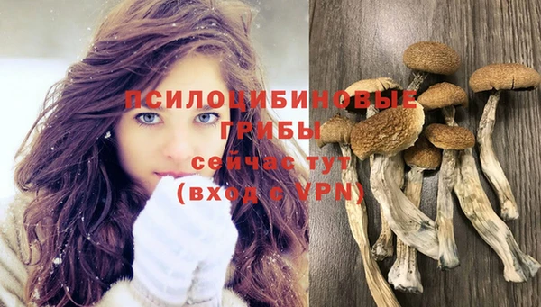 PSILOCYBIN Баксан